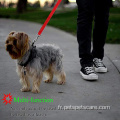 Nylon Material pour chiens Contrraintes Veicain Cerce des ceintures